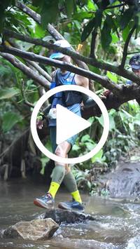 BIB:  <button type="button" onclick="openModal(27824661)" class="btn btn-primary btn-sm float-right" data-toggle="modal" data-target=".modal-high-quality">
                <i class="fa fa-download"></i> Download
                </button>